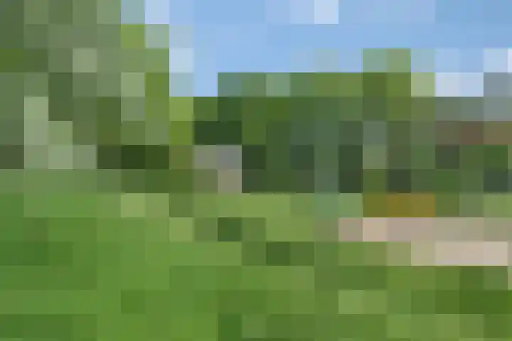 Sorghvlietweg 10 Zwolle thumbnail 70
