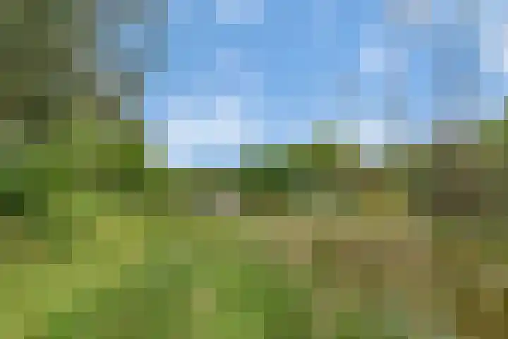 Sorghvlietweg 10 Zwolle thumbnail 71