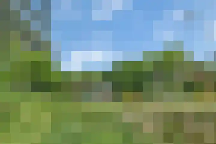 Sorghvlietweg 10 Zwolle thumbnail 72