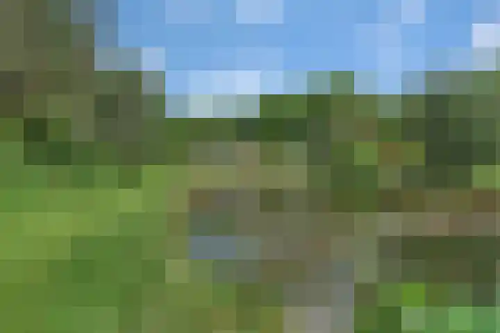 Sorghvlietweg 10 Zwolle thumbnail 73