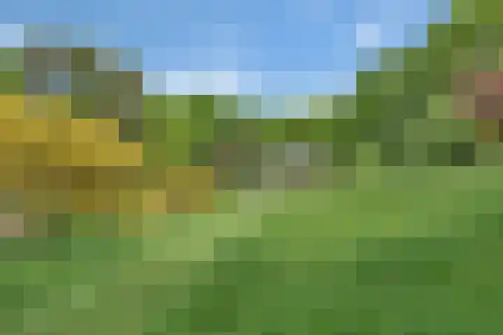 Sorghvlietweg 10 Zwolle thumbnail 74