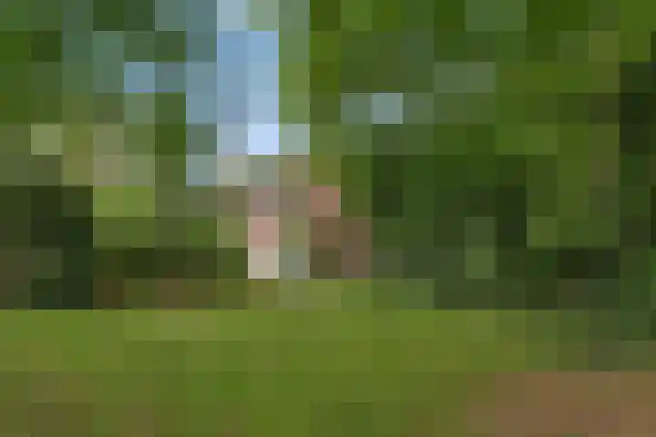 Sorghvlietweg 10 Zwolle thumbnail 76