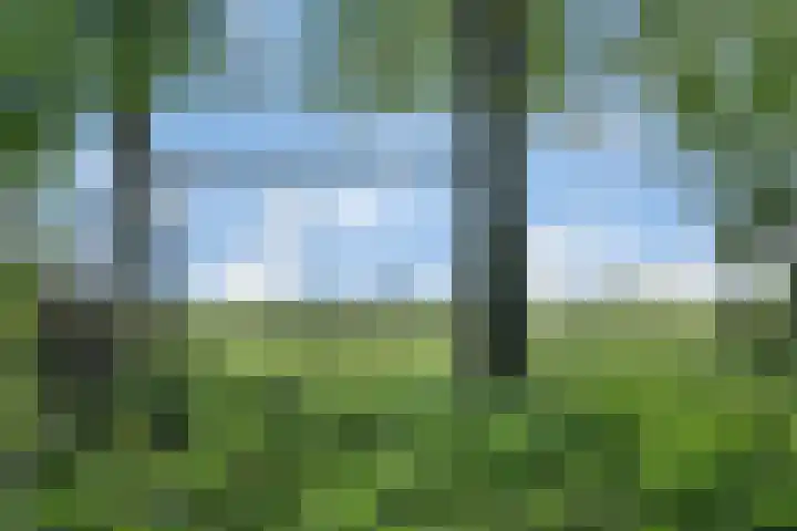 Sorghvlietweg 10 Zwolle thumbnail 77