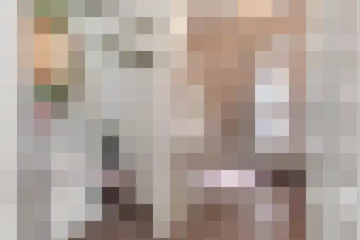 Sorghvlietweg 10 Zwolle thumbnail 8