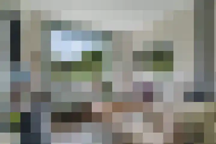 Sorghvlietweg 10 Zwolle thumbnail 9