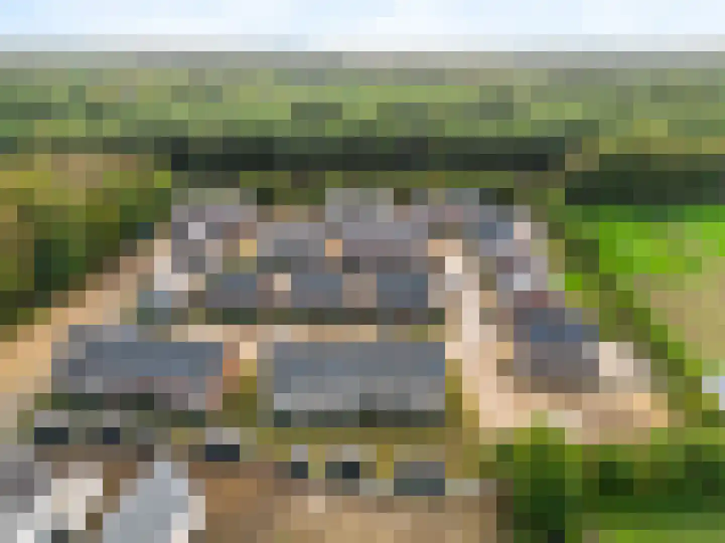 Sorteerweg 15 Wolfheze thumbnail 31