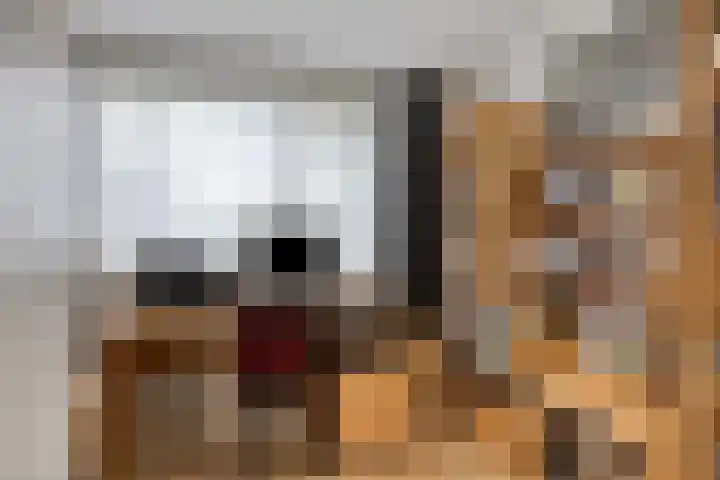 Sotaweg 77 Roelofarendsveen thumbnail 10