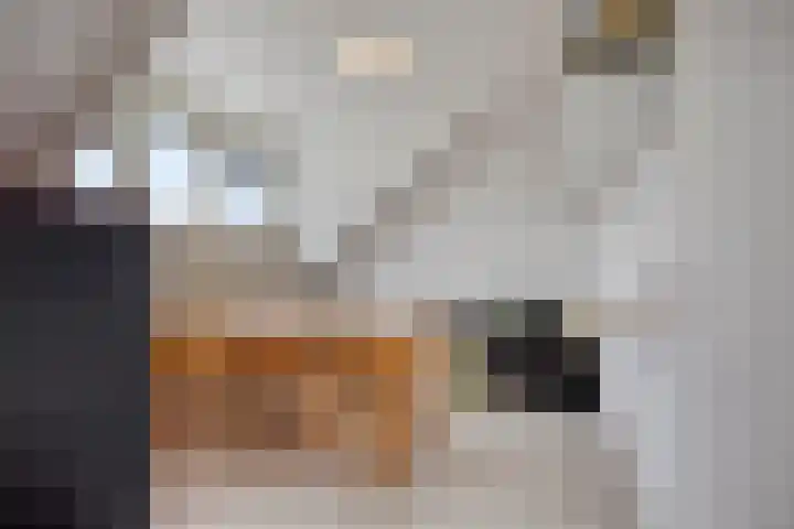 Sotaweg 77 Roelofarendsveen thumbnail 13