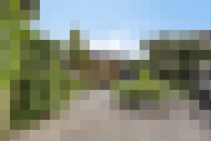 Sotaweg 77 Roelofarendsveen thumbnail 14