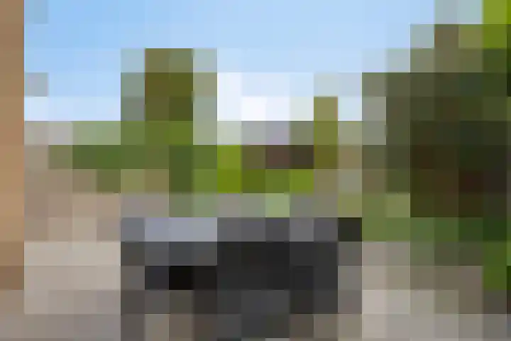 Sotaweg 77 Roelofarendsveen thumbnail 15