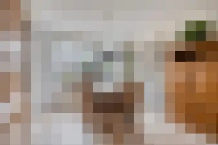 Sotaweg 77 Roelofarendsveen thumbnail 5