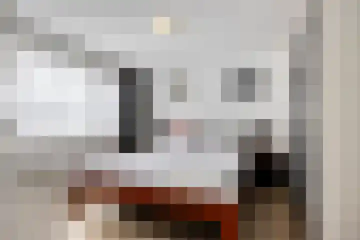 Sotaweg 77 Roelofarendsveen thumbnail 8