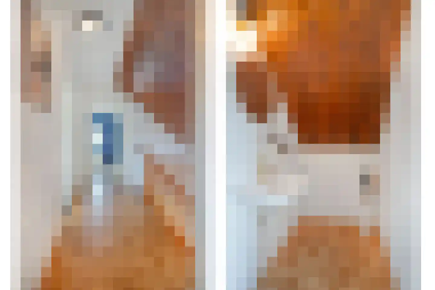 Sotaweg 8 Roelofarendsveen thumbnail 10