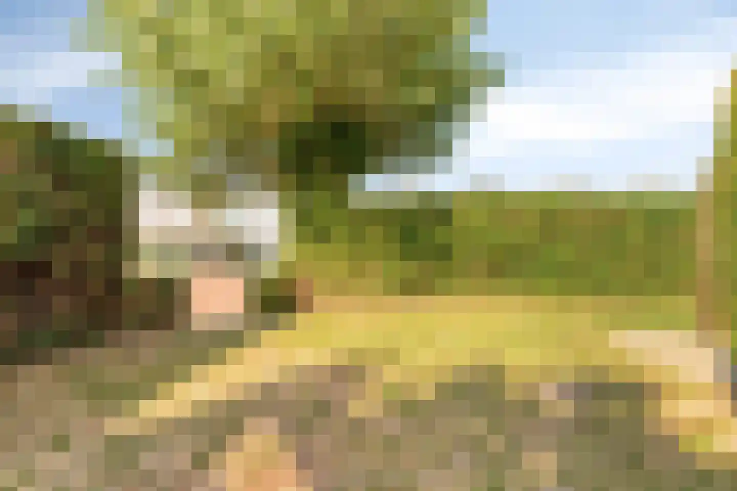 Sotaweg 8 Roelofarendsveen thumbnail 19