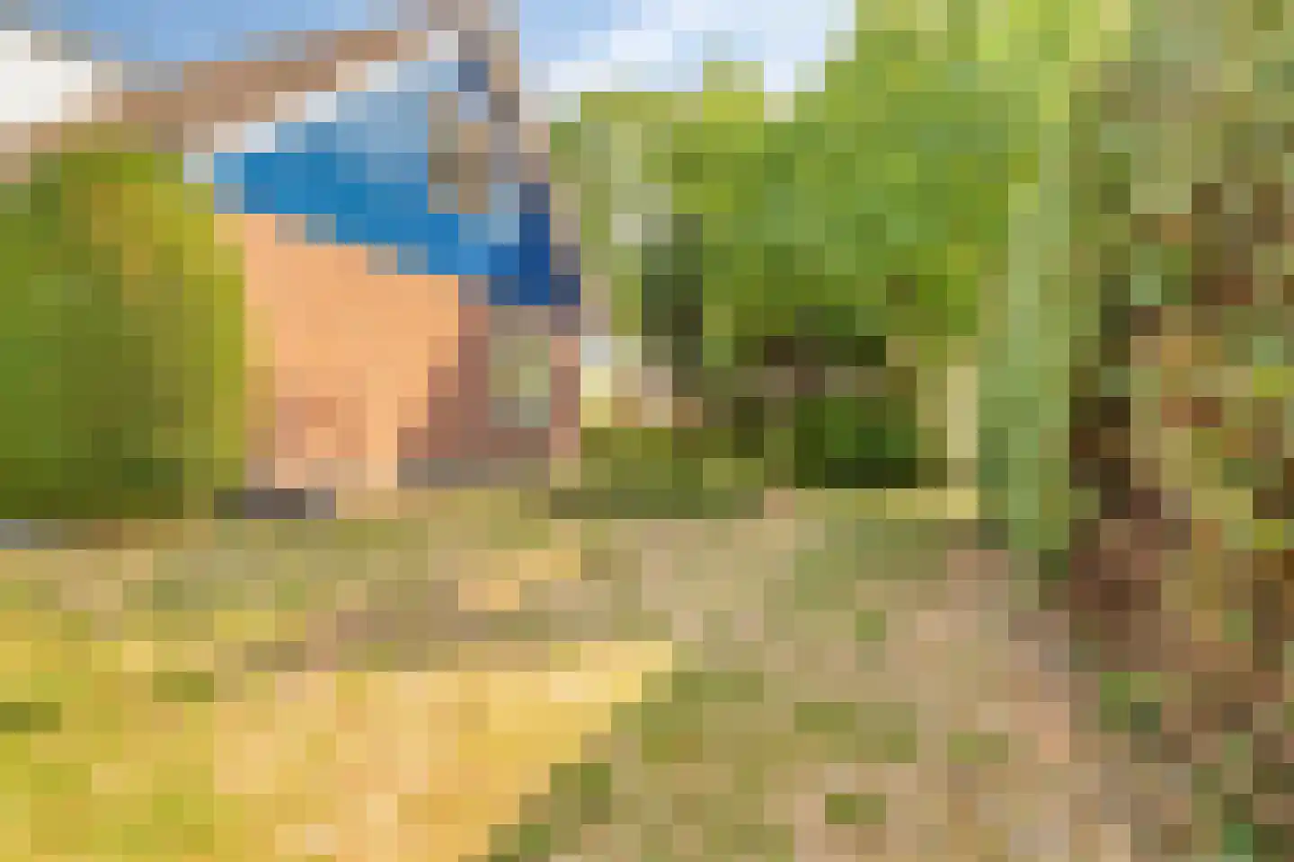 Sotaweg 8 Roelofarendsveen thumbnail 20