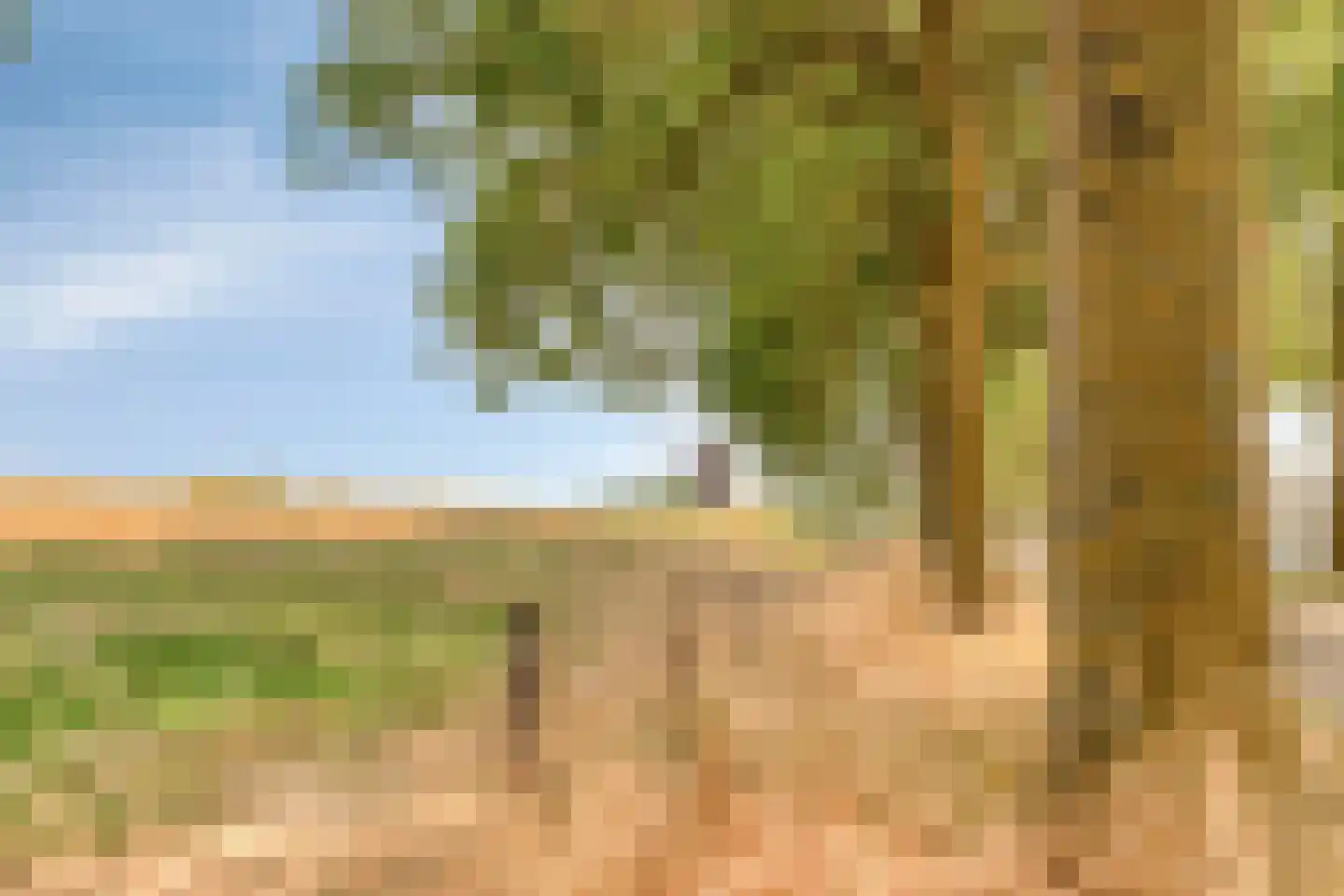 Sotaweg 8 Roelofarendsveen thumbnail 23