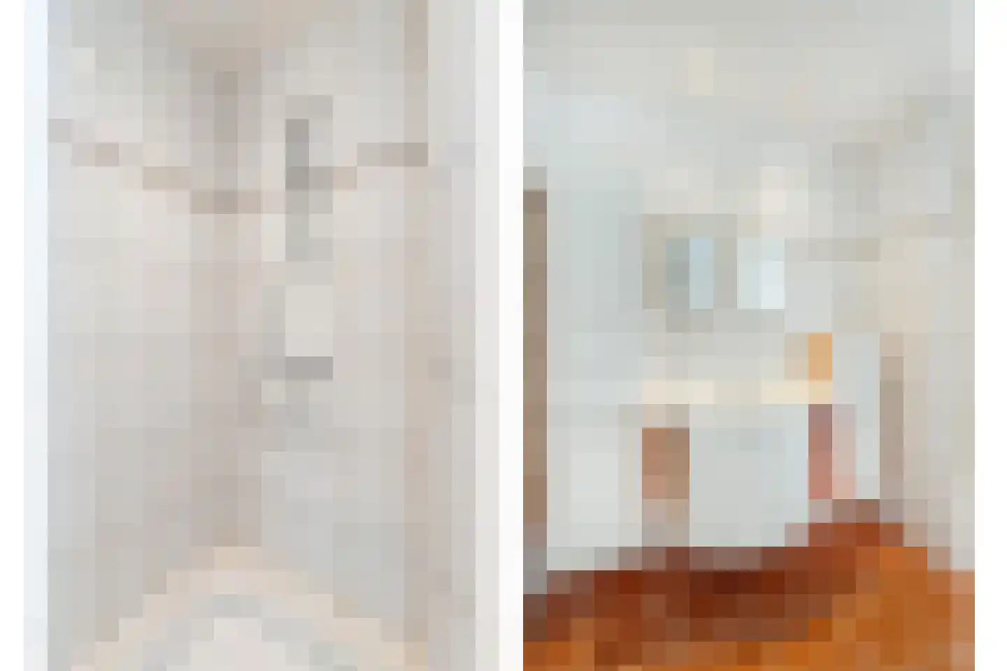 Sotaweg 8 Roelofarendsveen thumbnail 9