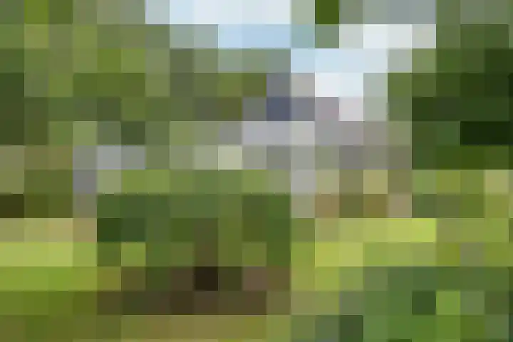 Sotterumerdijk 9 A Cornwerd