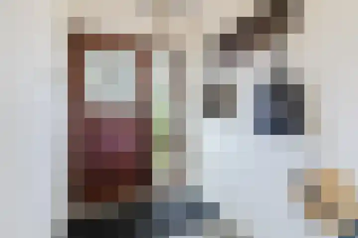 Souburghlaan 14 Waddinxveen thumbnail 10