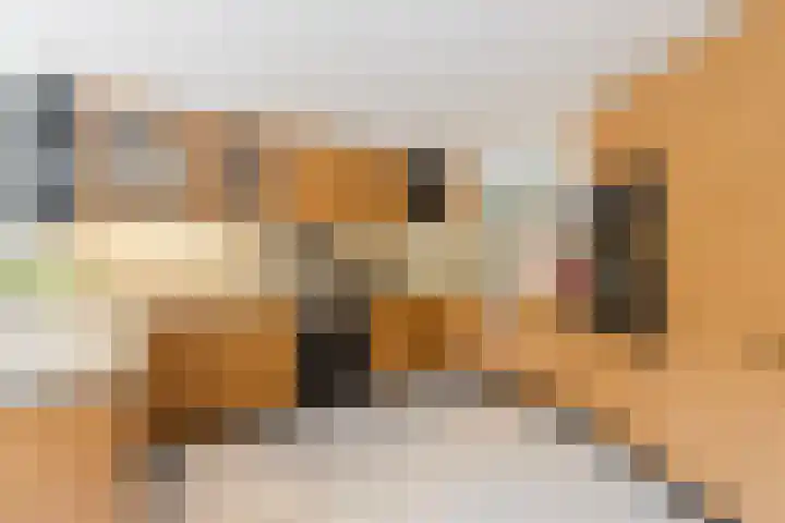 Souburghlaan 14 Waddinxveen thumbnail 20