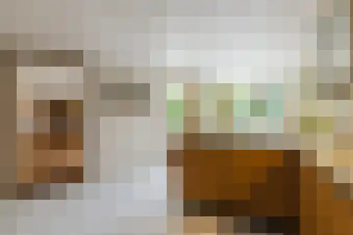 Souburghlaan 14 Waddinxveen thumbnail 21
