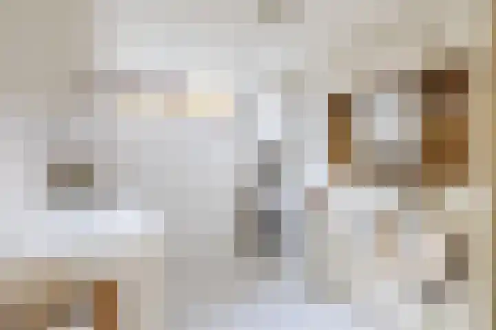 Souburghlaan 14 Waddinxveen thumbnail 24