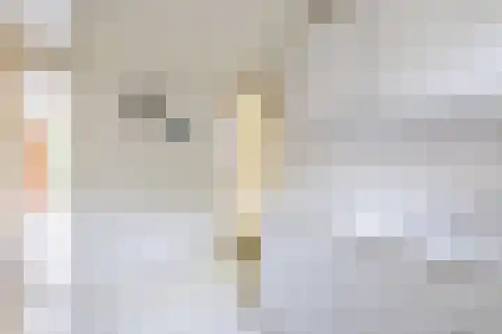 Souburghlaan 14 Waddinxveen thumbnail 25