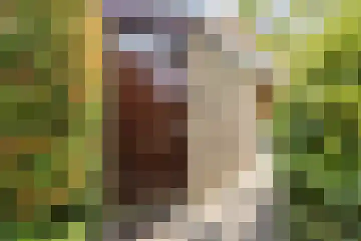 Souburghlaan 14 Waddinxveen thumbnail 29