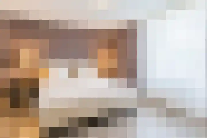 Souburghlaan 14 Waddinxveen thumbnail 33
