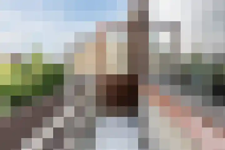Souburghlaan 14 Waddinxveen thumbnail 35