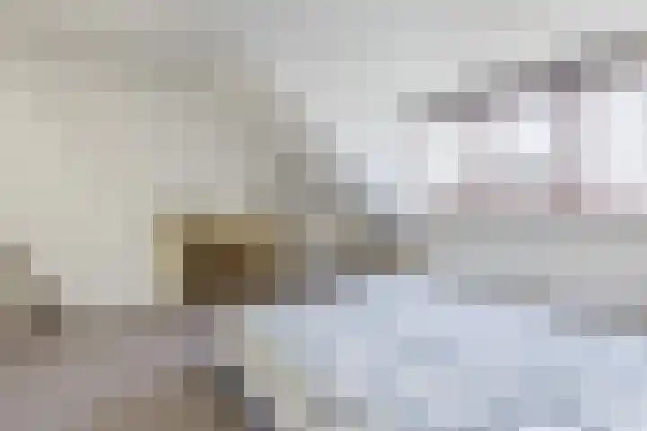 Souburghlaan 14 Waddinxveen thumbnail 44
