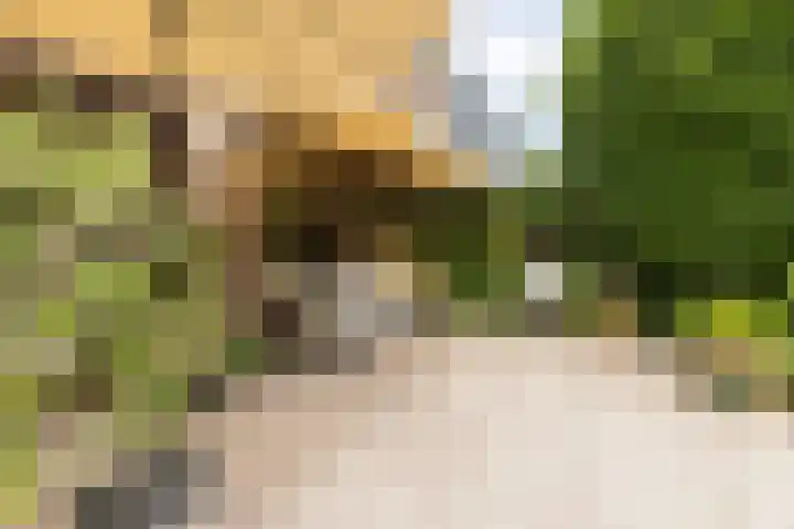 Souburghlaan 14 Waddinxveen thumbnail 48