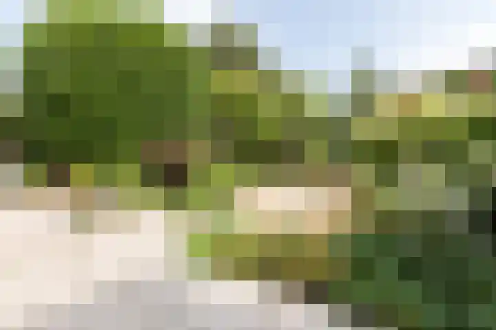Souburghlaan 14 Waddinxveen thumbnail 49