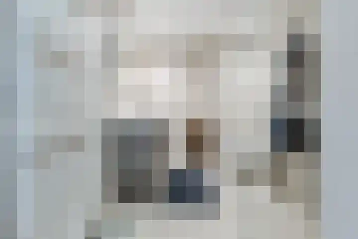 Souburghlaan 14 Waddinxveen thumbnail 5