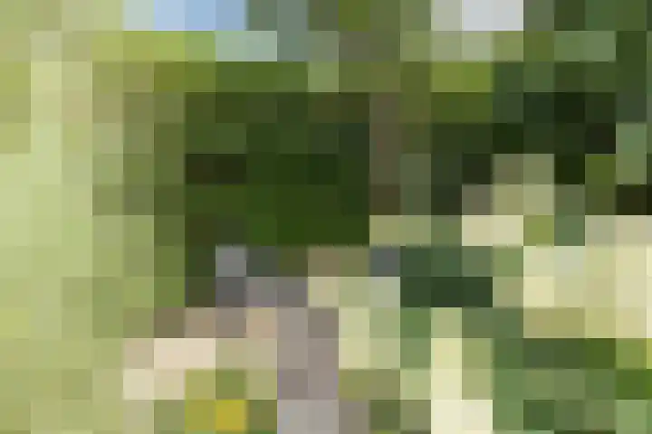Souburghlaan 14 Waddinxveen thumbnail 50