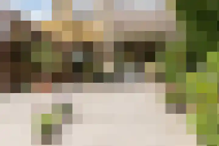 Souburghlaan 14 Waddinxveen thumbnail 51