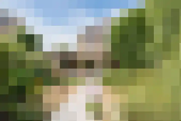 Souburghlaan 14 Waddinxveen thumbnail 53