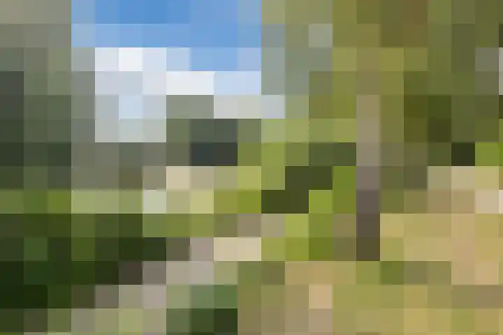 Souburghlaan 14 Waddinxveen thumbnail 54
