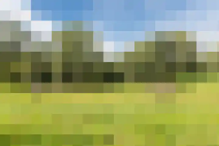 Souburghlaan 14 Waddinxveen thumbnail 56