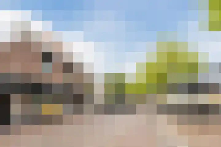 Souburghlaan 14 Waddinxveen thumbnail 58