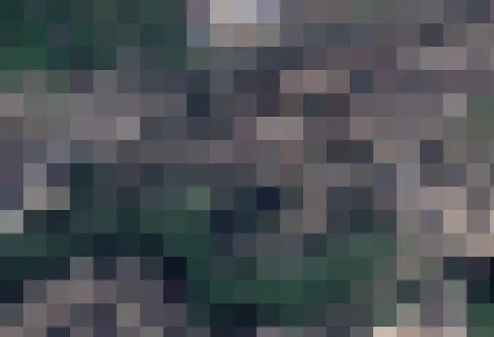 Souburghlaan 14 Waddinxveen thumbnail 59