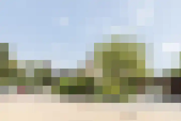 Souburghlaan 14 Waddinxveen thumbnail 7