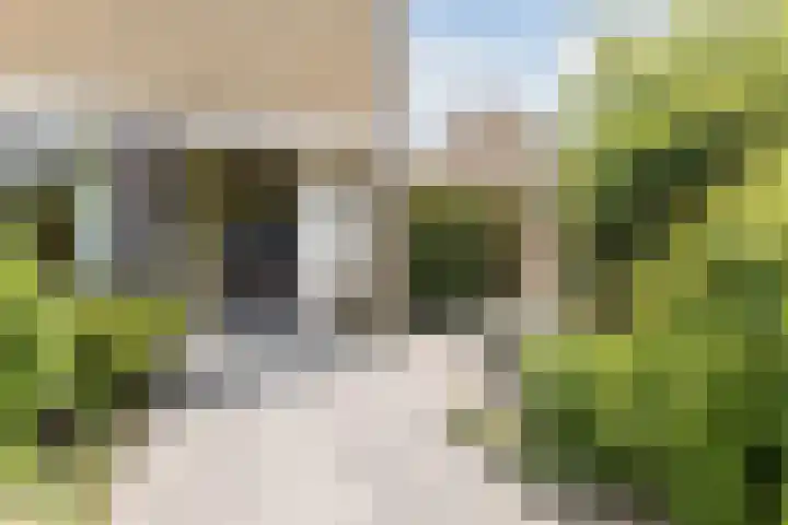 Souburghlaan 14 Waddinxveen thumbnail 9