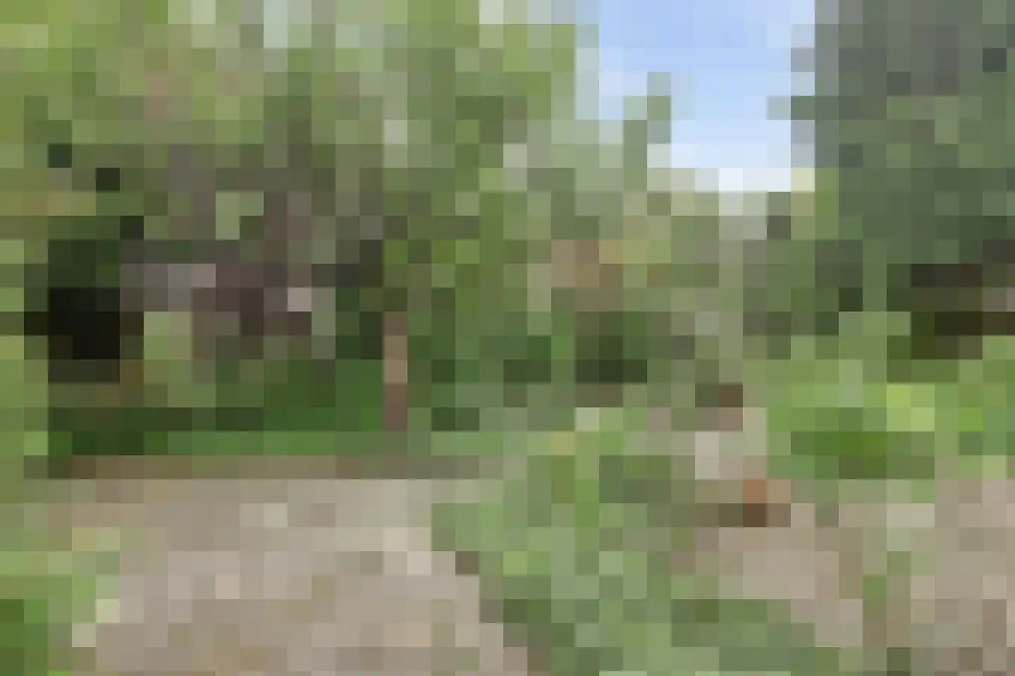 Souburghlaan 23 Waddinxveen thumbnail 33