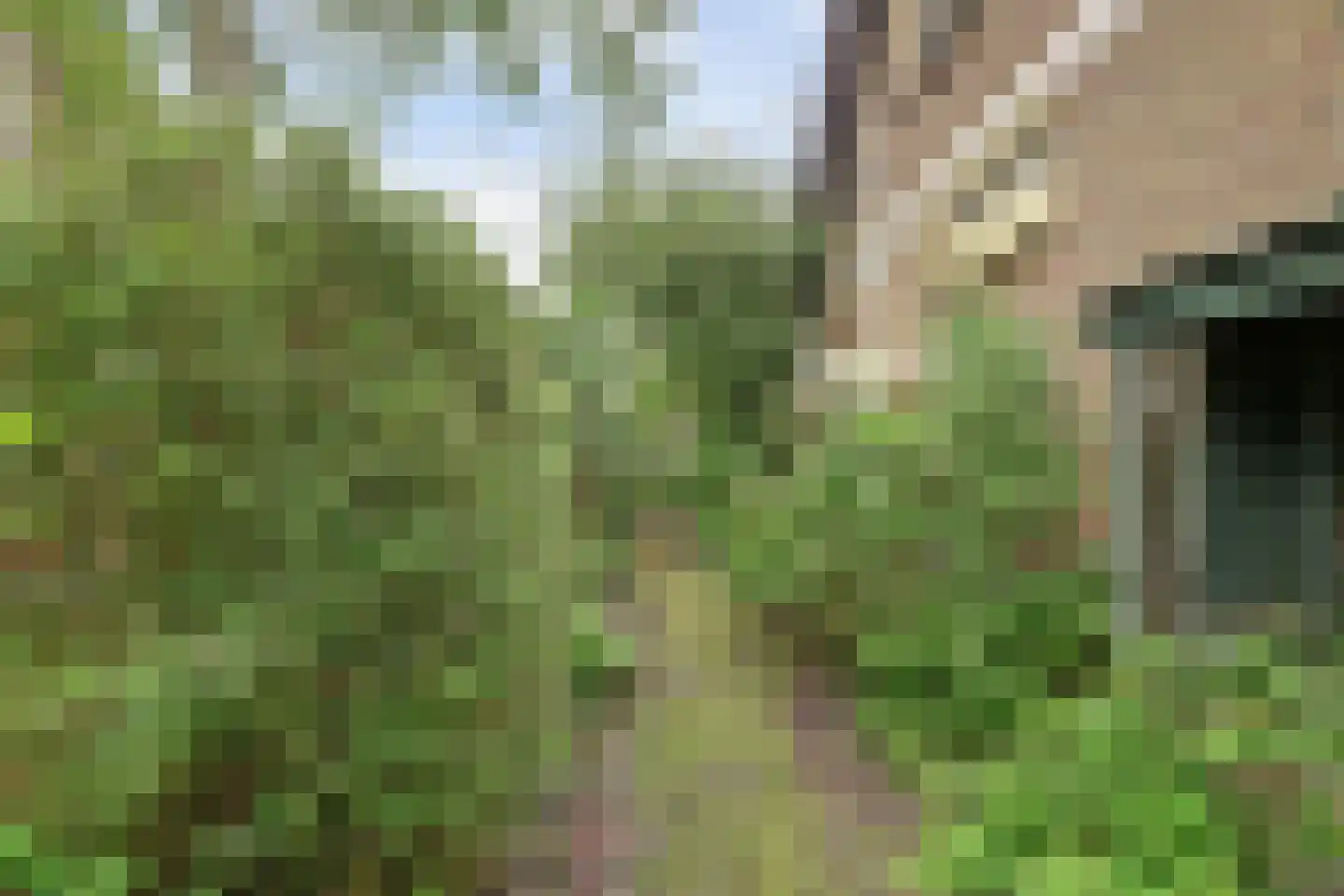 Souburghlaan 23 Waddinxveen thumbnail 35