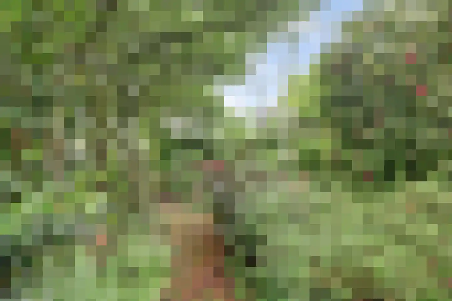 Souburghlaan 23 Waddinxveen thumbnail 36