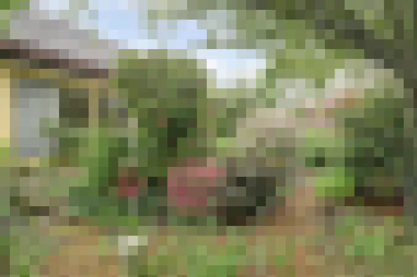 Souburghlaan 23 Waddinxveen thumbnail 37