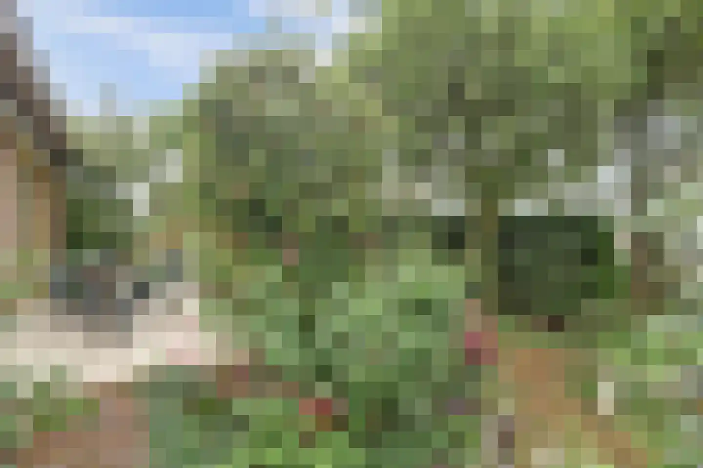 Souburghlaan 23 Waddinxveen thumbnail 38