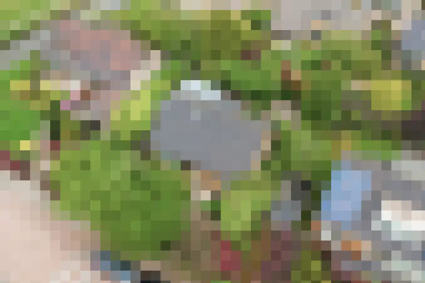 Souburghlaan 23 Waddinxveen thumbnail 5