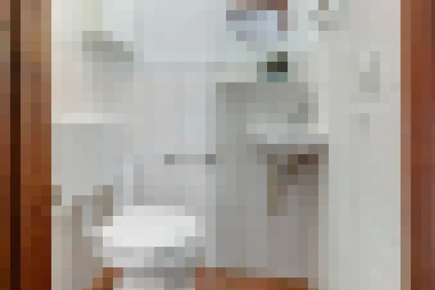 Souburghlaan 23 Waddinxveen thumbnail 8